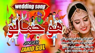 Ho Jamalo New Mashup Sindhi Song Zahid Gul New Song 2024 [upl. by Duquette746]