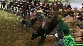 Jaime Carrizales vs Alma De Judas Rancho La Santísima Muerte [upl. by Nirtiak]