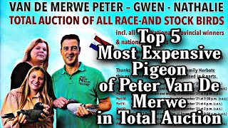 5 Most Expensive Pigeon of Peter Van De Merwe in Total Auction  Peter Van De Merwe Auction Dec 2021 [upl. by Spancake735]