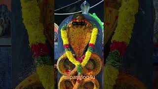 Mannarasala Ayilya pooja🙏god nagarajasarpakavuviral Silpas vlog4u shortvideo [upl. by Artened]