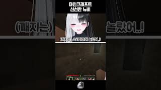 마인크래프트 신선한 뉴비 버튜버 여자버츄얼 vtuber [upl. by Lienaj]