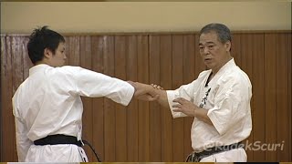 Sanseru  secret techniques English translation Yoshio Kuba Goju ryu Karate [upl. by Llehcear]