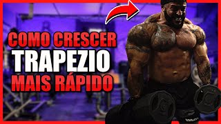 COMO CRESCER TRAPÉZIO MAIS RÁPIDO TREINO COMPLETO [upl. by Morra]