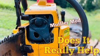 Will Muffler Mod Really Help Testing The Ported Partner 5000 Chainsaw [upl. by Maryn]