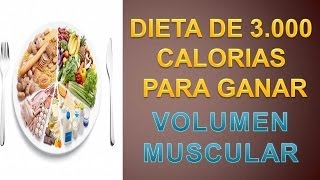 Dieta Para Aumentar La Masa Muscular  Dieta 3000 Kcal [upl. by Esmerelda]