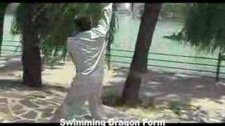 Baguazhang Kung Fu MartialArts Master Sui Yunjiang [upl. by Etheline509]