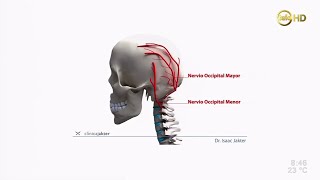 Dolor de cabeza  Neuralgia occipital  Dr Isaac Jakter [upl. by Peterec]