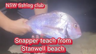 Snapper catch from Stanwell Beach NSW￼ [upl. by Iarised]