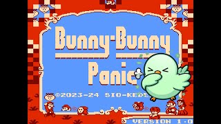 Vertical BunnyBunny Panic NEW SMB2 Kaizo Romhack [upl. by Trebreh]