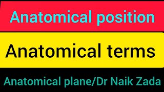 anatomical positionanatomical position and directional terms anatomical position and terms in urdu [upl. by Alderman]