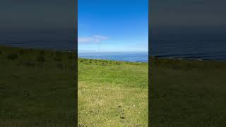 Dunstanburgh Castle shorts [upl. by Anyad646]