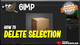 Gimp How To Delete Selection [upl. by Jilly]