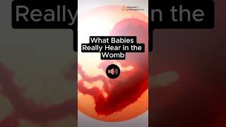 👂What Babies HEAR In WOMB Sound ON 📣 fetus [upl. by Wilmette995]