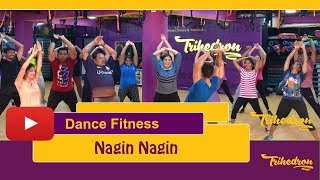 Nagin Dance I Dance Fitness  Trihedron  Bajatey Raho I [upl. by Sherourd]