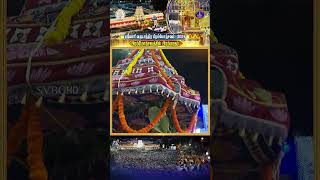 Brahmaratham  Srivari Varshika Brahmotsavalu2024  Tirumala  SVBCTTDTAMIL [upl. by Assener]