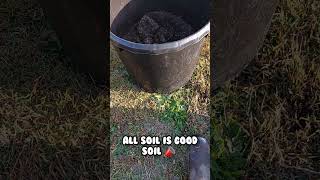 SOIL TIP  ALL SOIL IS GOOD SOIL gardenshorts garden georgiagarden diygardening gardentipS [upl. by Skyla]