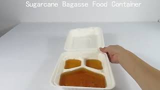 EcoFriendly Biodegradable Sugarcane Bagasse Food Container Packaging Disposable Lunch Box [upl. by Winson740]