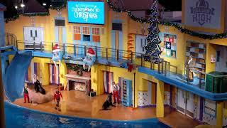 SeaWorld Orlando Christmas [upl. by Nylasej]