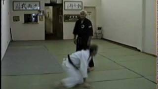 Professors Sig Kufferath doing Nage techniques [upl. by Druce]