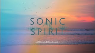 SONICSPIRIT  Star Spangled Banner  Vocals Steffen Schlösser [upl. by Tybie]