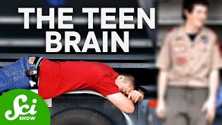 How Teenagers Brains Are Actually Wired Differently [upl. by Aikit]