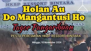 Holan Au Do Mangantusi Ho Penyanyi  Tagor Pangaribuan [upl. by Faso]