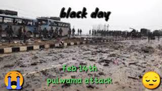 February 14 Black day😭 Pulwama attack WhatsApp status Tamil [upl. by Enytsirhc]