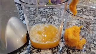 Review Fezen Juicer Machines FEZEN Juicer Machines Vegetable and Fruit Cold Press Juicer with Quie [upl. by Stutzman]