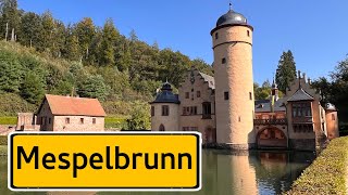 Medieval Castle in Mespelbrunn Germany [upl. by Alaecim]