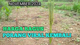 KEMBALI VIRAL HARGA NAIK KEMBALI JADI IDAMAN PETANI [upl. by Aggarwal187]