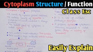 Cytoplasm Structure Functions And Composition  Cytosol  Class 11 Biology [upl. by Almena]