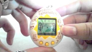 Tamagotchi Morino Descripción [upl. by Naeloj505]