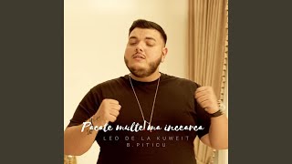 Pacate multe ma incearca feat BPiticu [upl. by Rock]