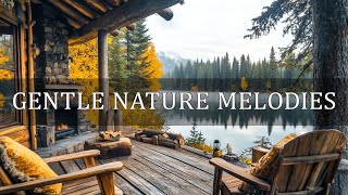 Afternoon Bliss 🌿  Relaxation with Gentle Nature Melodies for Peaceful amp Productive Day [upl. by Defant924]