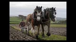 THE FURROWS END GARY ANDERSON [upl. by Bekha]