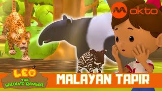 ONLY TAPIR species found in Southeast Asia  Leo the Wildlife Ranger Spinoff S4E11  mediacorpokto [upl. by Buckden]