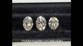 Diamond VS Moissanite Harro and Charles amp Colvard Lauren B Loose Stone Education [upl. by Esdnil420]