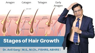 The Four Phases Of The Hair Growth Cycle  AdamExplains [upl. by Akinuahs]