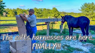 Unboxing new harnesses for my mule colts 140 [upl. by Doll]