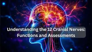 Understanding the 12 Cranial Nerves Functions and Assessments [upl. by Pachton752]