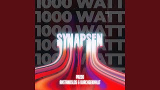 Synapsen 1000 Watt Preview [upl. by Lehcnom]