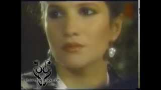 Pimpinela  Me hace falta una flor 1986  Videoclip [upl. by Enerol478]