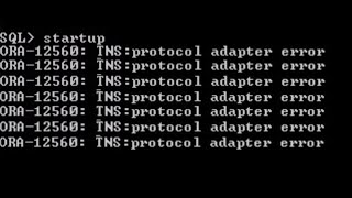 ORA12560 TNSProtocol Adaptor Error in Oracle 21c  Protocol Adapter Error [upl. by Oirad486]