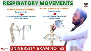 Movement of Respiration Bucket Handle Pump Handle Movement Respiratory system [upl. by Desi]