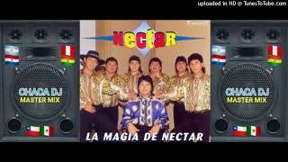 🇵🇪GRUPO NECTAR🇵🇪BOTELLITA DE RON🇵🇪 [upl. by Sigvard53]