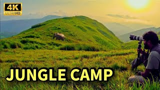 Jungle Camp  Best Wildlife Combo Package  All in One Package  4K UHD [upl. by Ruvolo]