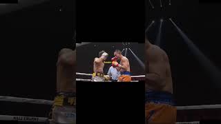 Naoya Inoue Vs Nonito Donaire Highlights [upl. by Yand333]