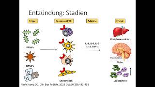 Autoinflammation Teil 1 [upl. by Douglas906]