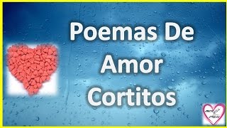 Poemas De Amor Cortitos Para Enamorar A Mi Novia [upl. by Nannek302]