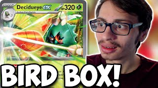 WILD Decidueye ex Bird Box Deck Altaria FULL Heal Combo wPidgeot ex PTCGL [upl. by Nawiat]